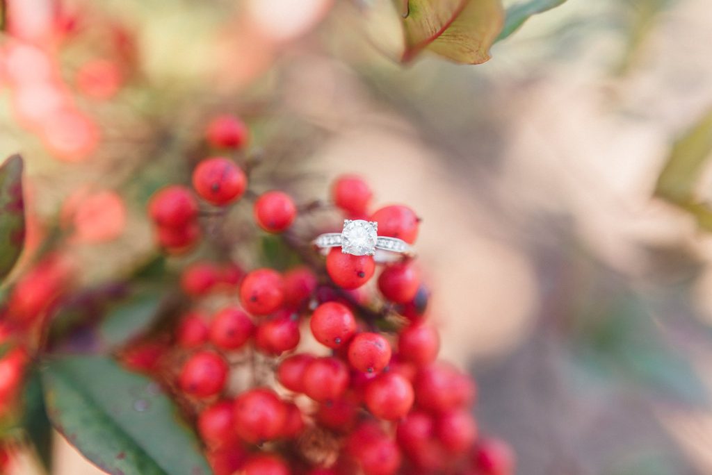 engagement ring on berries