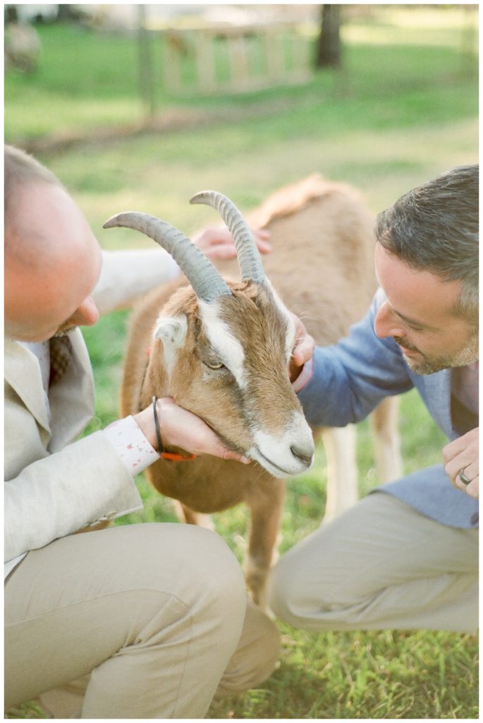 wedding on goat farm