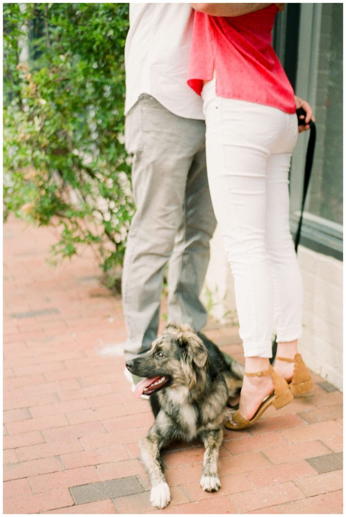 dog at engagement session in city market downtown raleigh