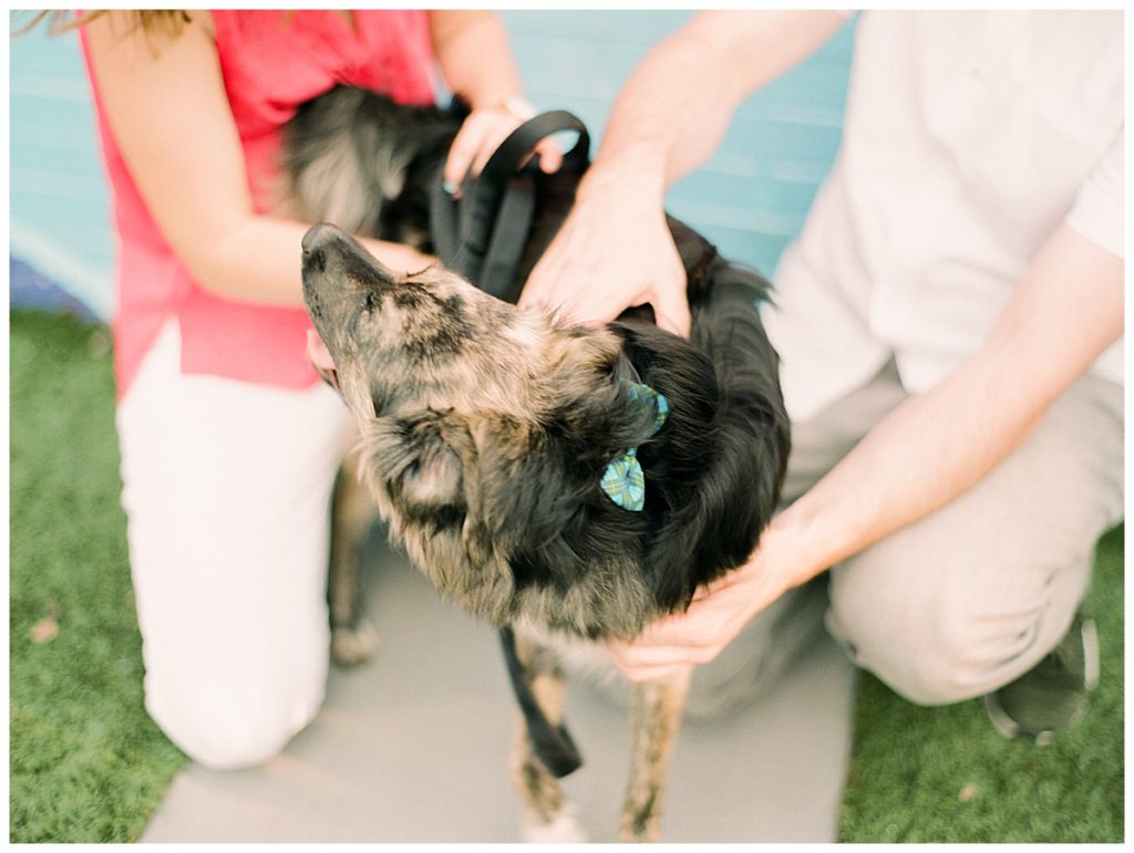 puppy at engagement session in downtown raleigh