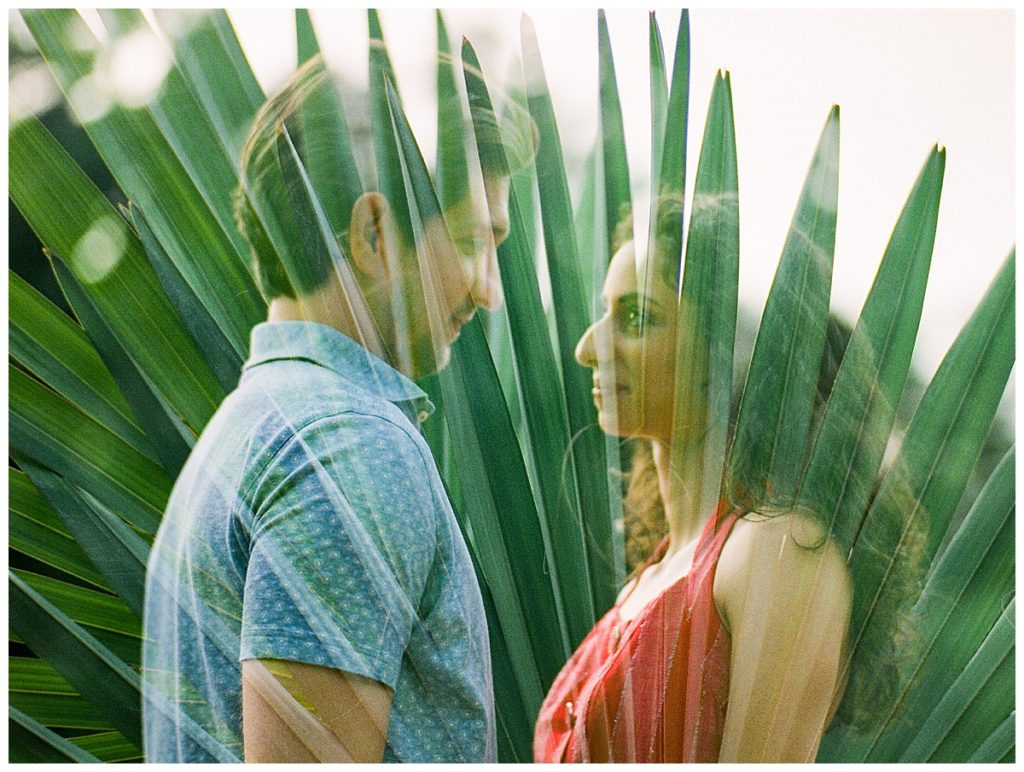 double exposure of couple and spiky green plant