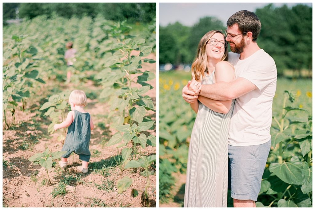 family in sunflower field in raleigh