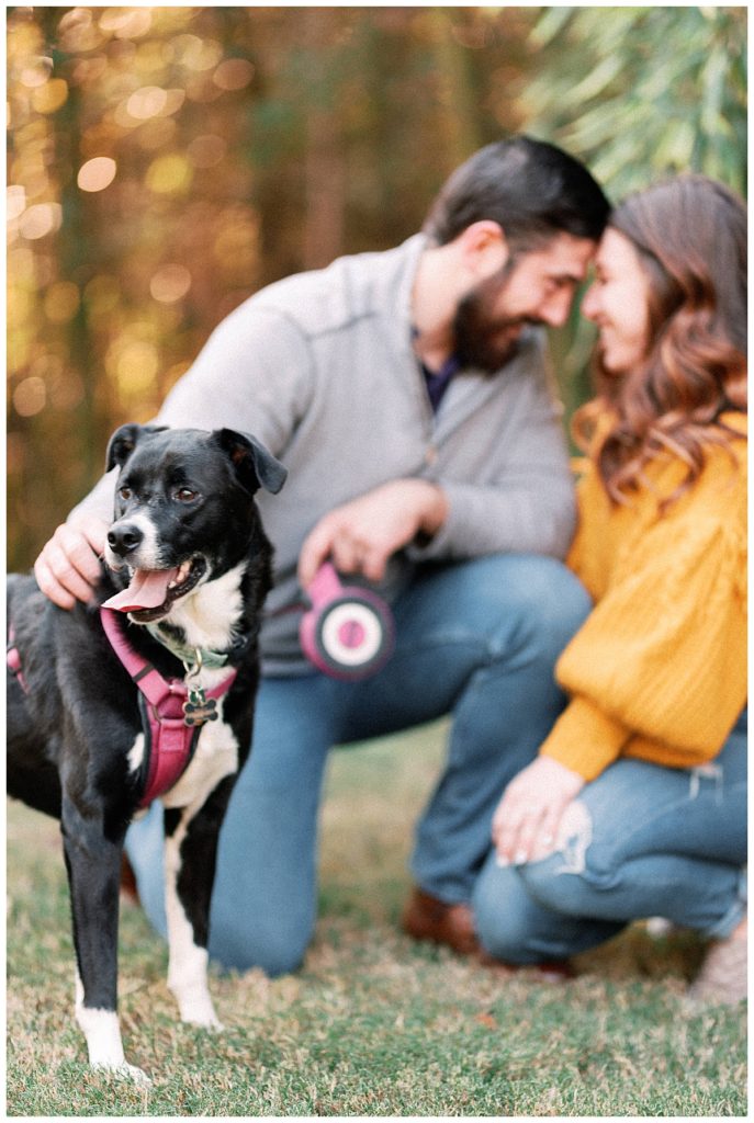 engagement session with dog