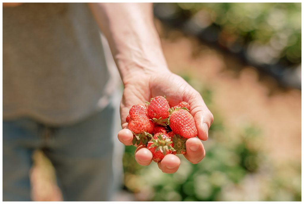 handful of strawberries