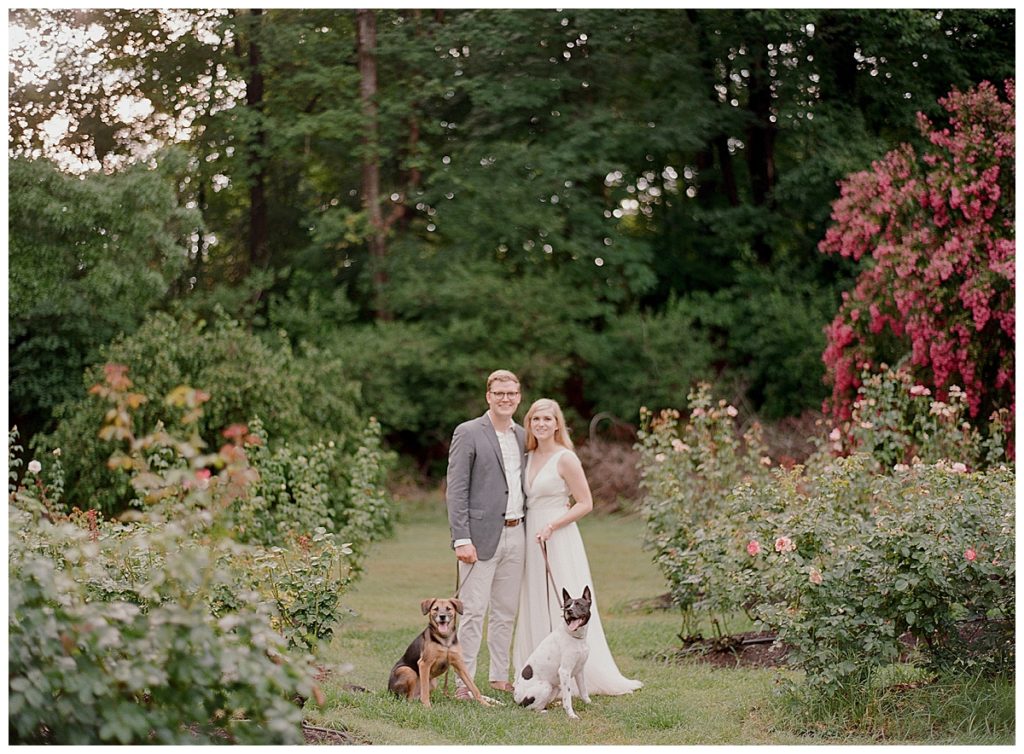 raleigh rose garden anniversary session