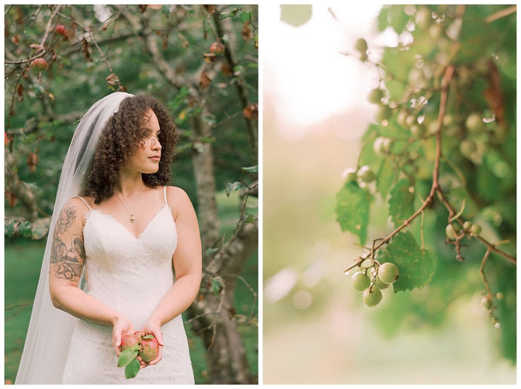 bride outdoors orchard wedding