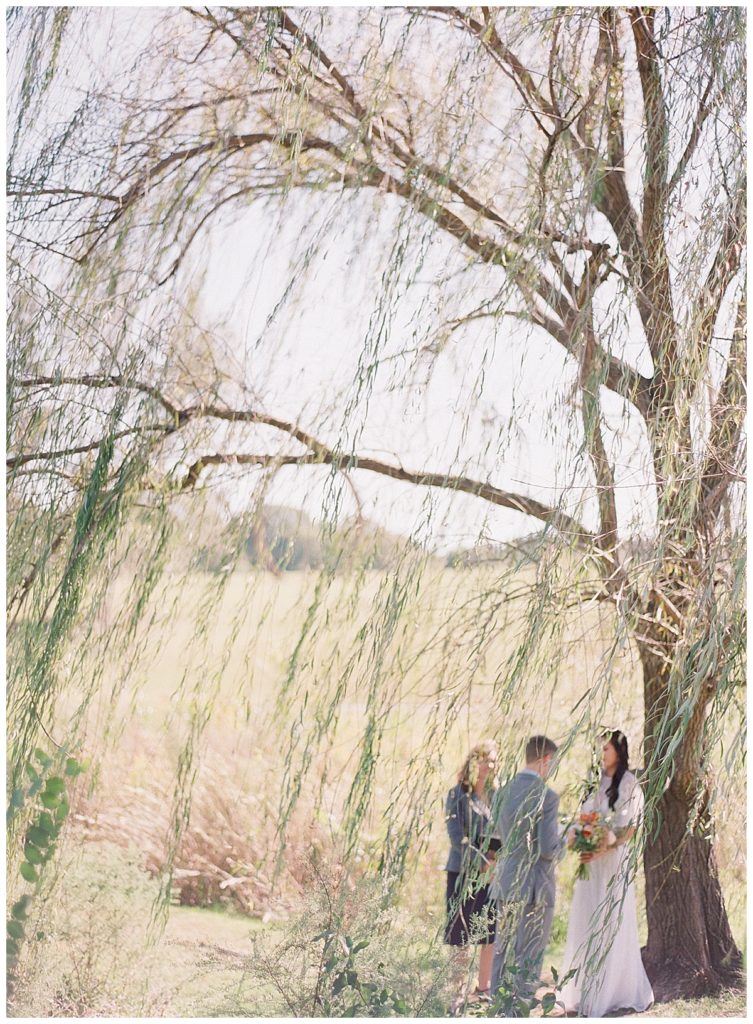 Willow Tree Elopement at NC Museum of Art