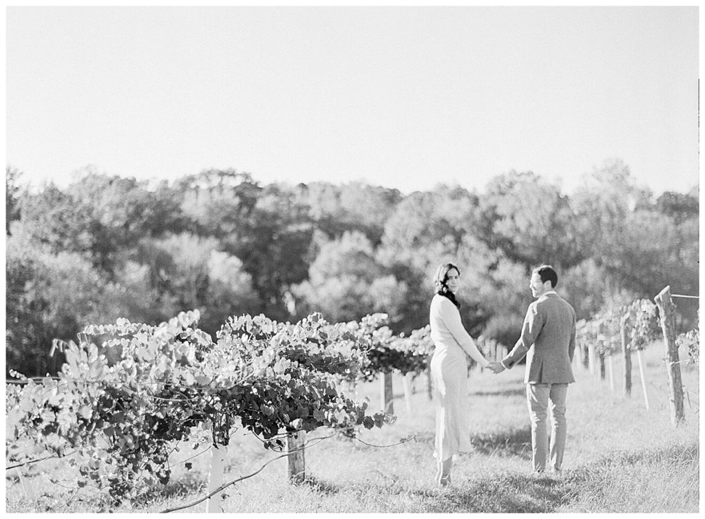 French Vineyard Engagement Session 