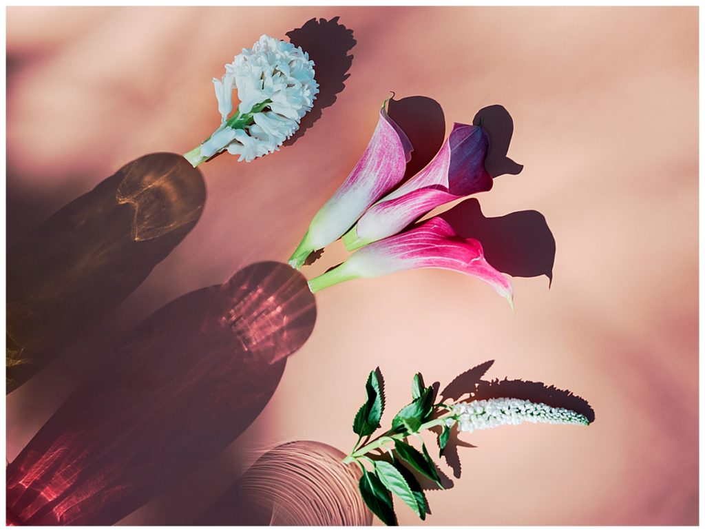 Fire and Ice Flowers Creative Shoot