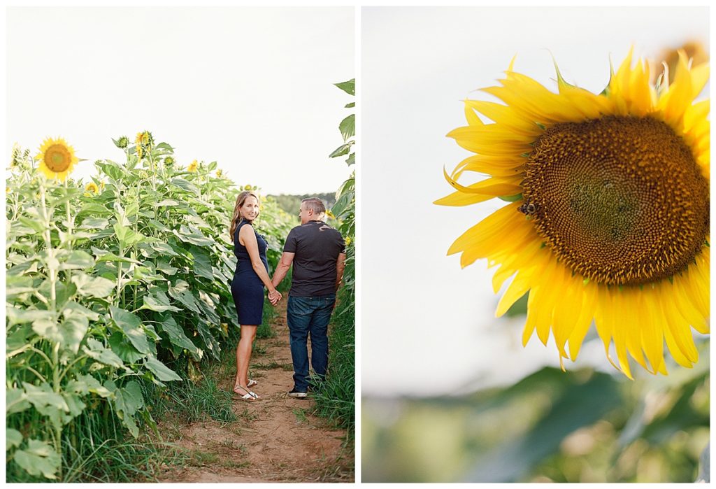 engagement session in sunflower field