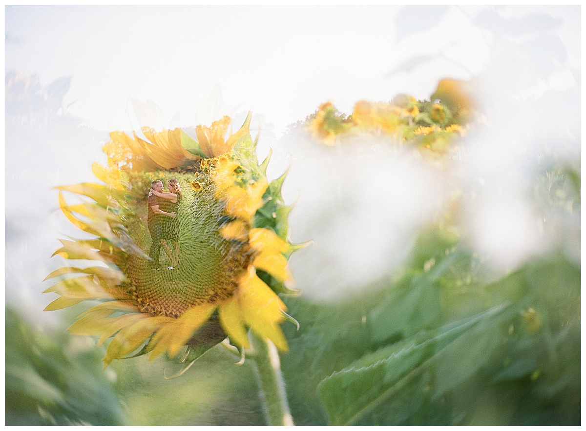 Double exposure engagement photo with sunflower